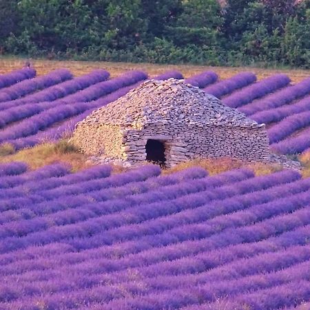 Entre Ventoux Et Luberon Chambre D'Hote Sault-de-Vaucluse Exteriér fotografie