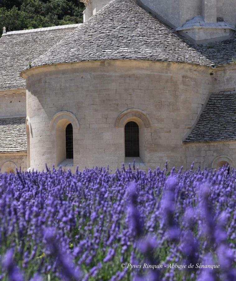 Entre Ventoux Et Luberon Chambre D'Hote Sault-de-Vaucluse Exteriér fotografie