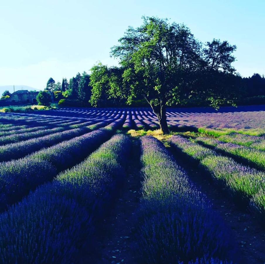 Entre Ventoux Et Luberon Chambre D'Hote Sault-de-Vaucluse Exteriér fotografie