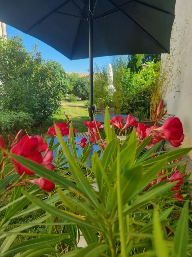 Entre Ventoux Et Luberon Chambre D'Hote Sault-de-Vaucluse Exteriér fotografie